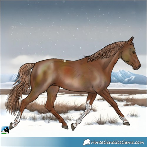 Horse Color:Chestnut Tobiano 
