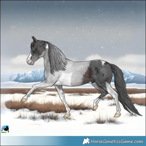 Horse Color:Brown Merle Tobiano 