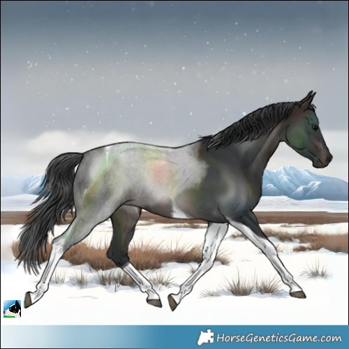 Horse Color:Brown Tobiano 