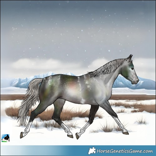 Horse Color:Powder White Gray Silver Brown Tobiano 