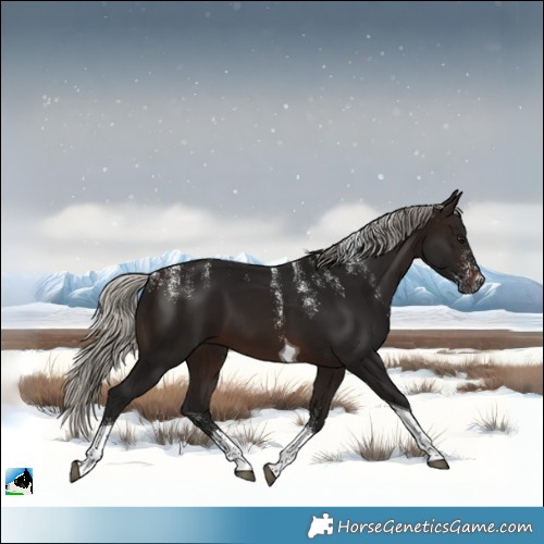 Horse Color:Powder White Gray Silver Brown Tobiano 