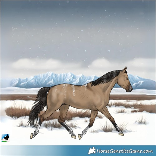 Horse Color:Powder White Gray Liver Red Dun Tobiano 