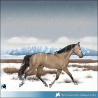 Horse Color:Powder White Gray Liver Red Dun Tobiano 