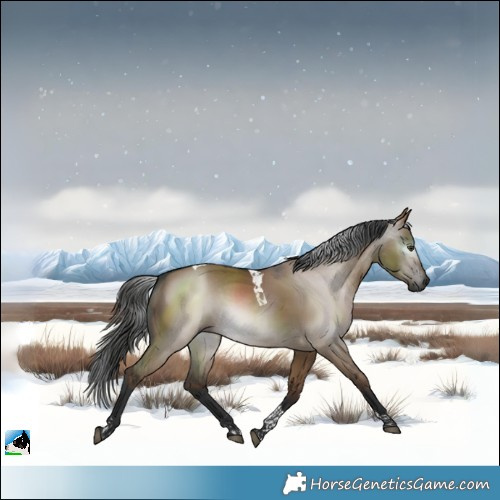 Horse Color:Gray Liver Red Dun Tobiano 