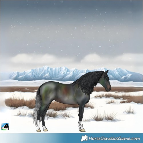 Horse Color:Brown 