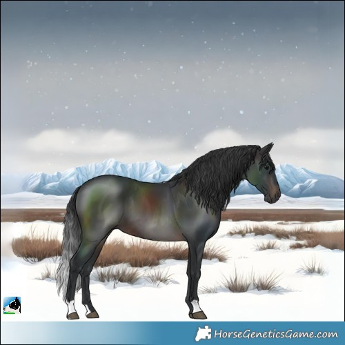 Horse Color:Brown 
