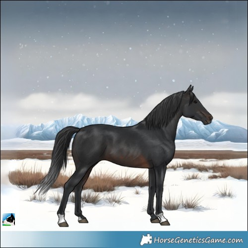 Horse Color:Brown 
