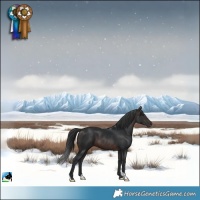 Horse Color:Brown Mushroom