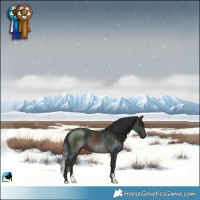 Horse Color:Brown Mushroom
