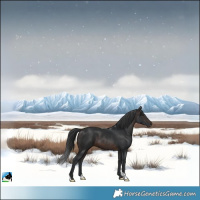 Horse Color:Brown Mushroom 