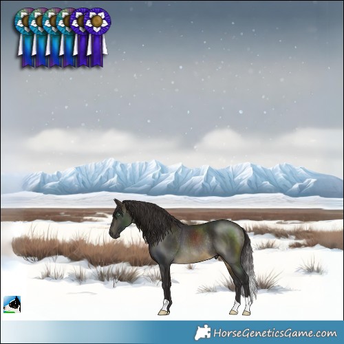 Horse Color:Buckskin Mushroom Rabicano 