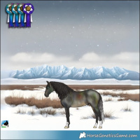 Horse Color:Buckskin Mushroom Rabicano