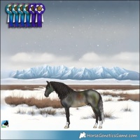 Horse Color:Buckskin Mushroom Rabicano 