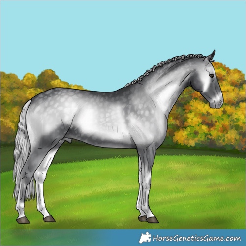 Horse Color:Silver Blue Onyx Chinchilla 