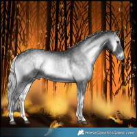 Horse Color:Silver Blue Onyx Chinchilla