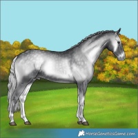 Horse Color:Silver Blue Onyx Chinchilla 