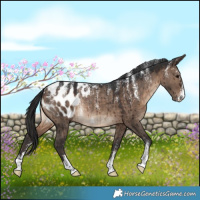 Horse Color:Powder White Brown Dun Blanket Rabicano Brindle