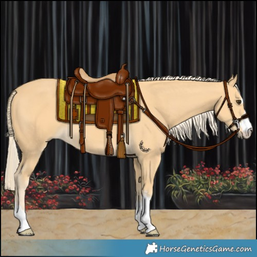 Horse Color:Palomino 