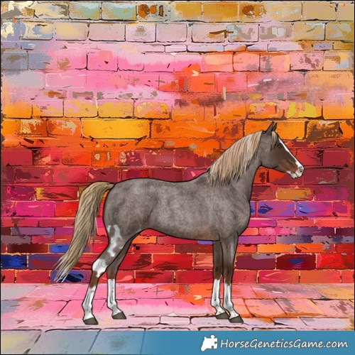 Horse Color:Liver Red Roan Splash Skewed Appaloosa 