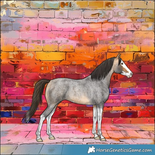 Horse Color:Buckskin Roan Splash 