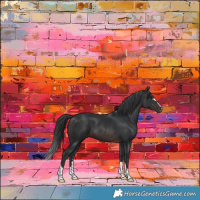 Horse Color:Brown 