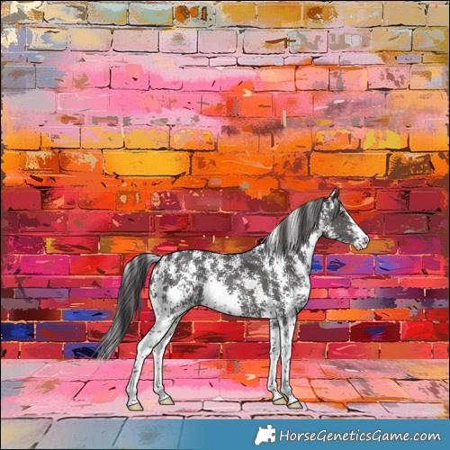 Horse Color:Smoky Black Sabino Skewed Appaloosa 