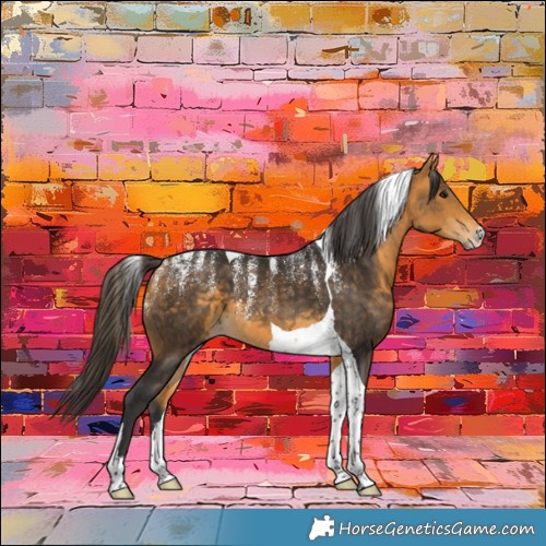 Horse Color:Powder White Buckskin Tobiano 