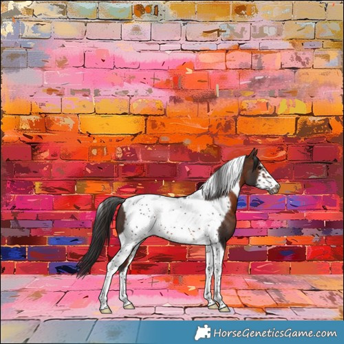 Horse Color:Brown Tobiano Frame 