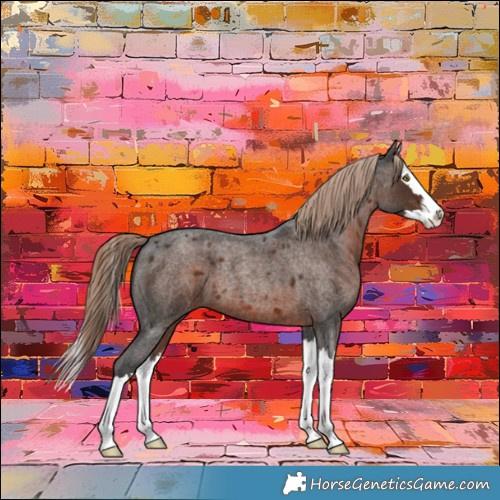 Horse Color:Liver Red Roan Splash 