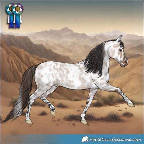 Horse Color:White Spotted Bay Roan Dun Appaloosa