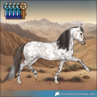 Horse Color:White Spotted Bay Roan Dun Appaloosa