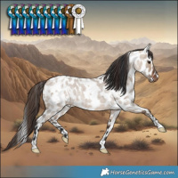 Horse Color:White Spotted Bay Roan Dun Leopard