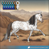 Horse Color:White Spotted Bay Roan Dun Leopard