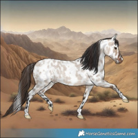 Horse Color:White Spotted Bay Roan Dun Appaloosa