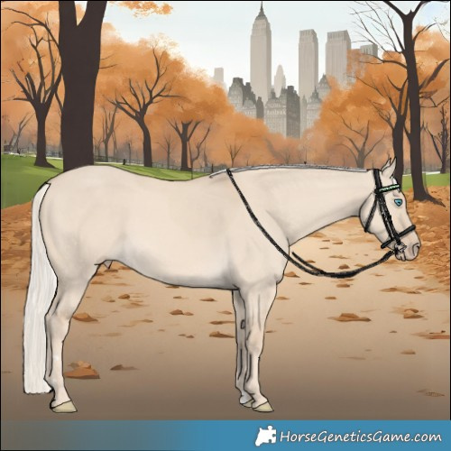 Horse Color:Cremello Dun