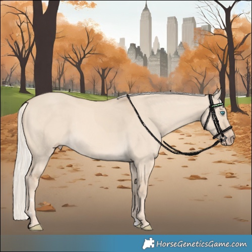Horse Color:Cremello Dun 