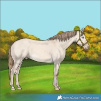 Horse Color:Perlino Dun 