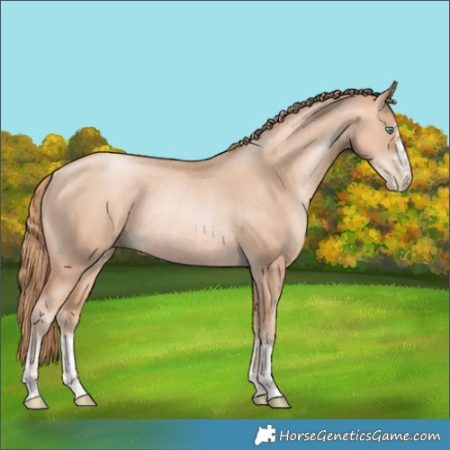 Horse Color:Gold Champagne Pearl Rabicano  and Gold Champagne Pearl Rabicano 
