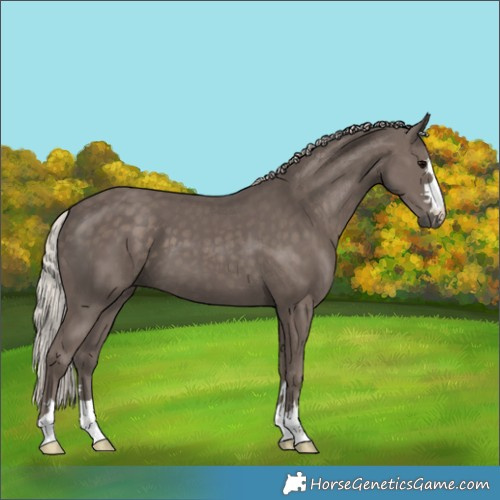 Horse Color:Silver Black 