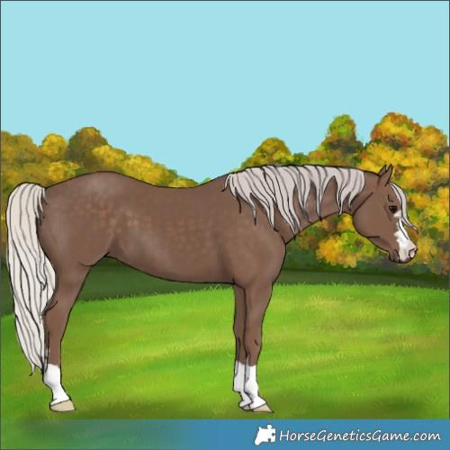 Horse Color:Silver Black