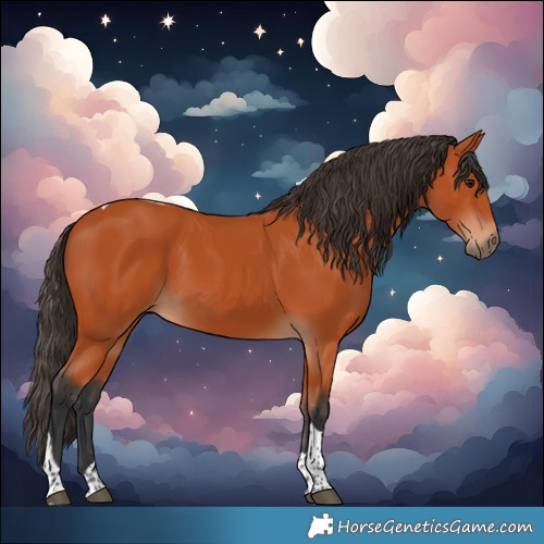 Horse Color:Bay Tobiano Rabicano 