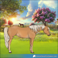 Horse Color:Palomino 
