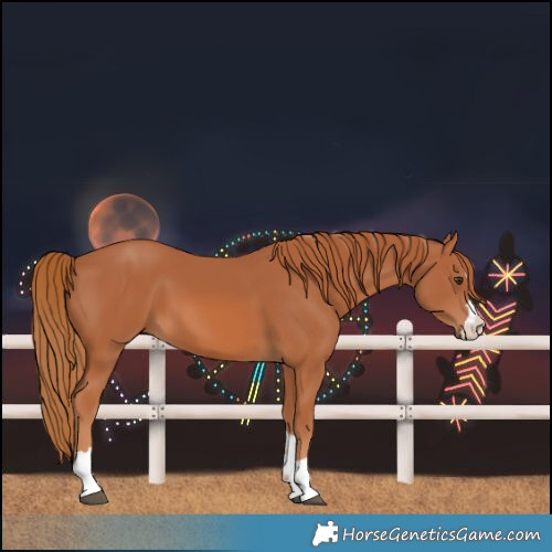 Horse Color:Chestnut 