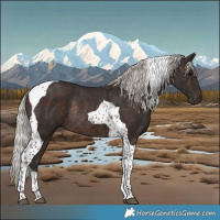 Horse Color:Silver Brown Tobiano Rabicano 