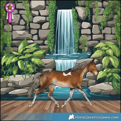 Horse Color:Chocolate Palomino Tobiano Rabicano 