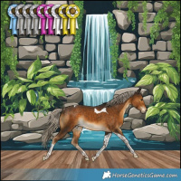 Horse Color:Chocolate Palomino Tobiano Rabicano 
