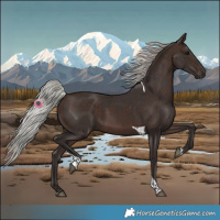 Horse Color:Silver Brown Tobiano Rabicano