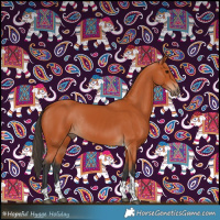Horse Color:Bay Tobiano Rabicano