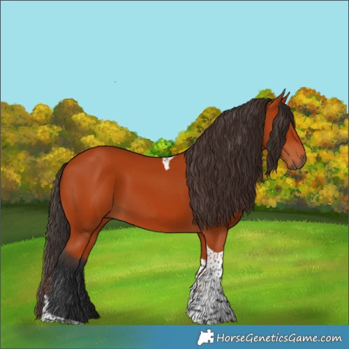 Horse Color:Bay Tobiano Rabicano 