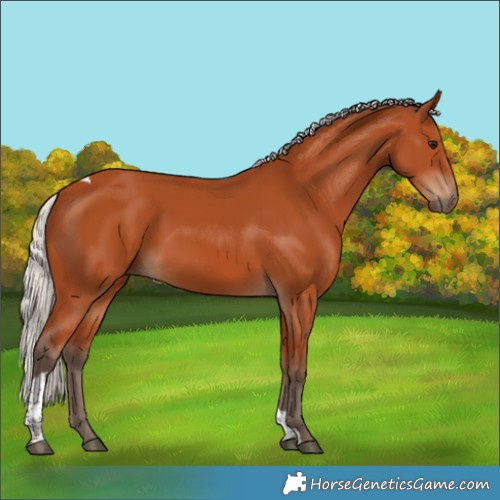 Horse Color:Silver Bay Tobiano Rabicano 